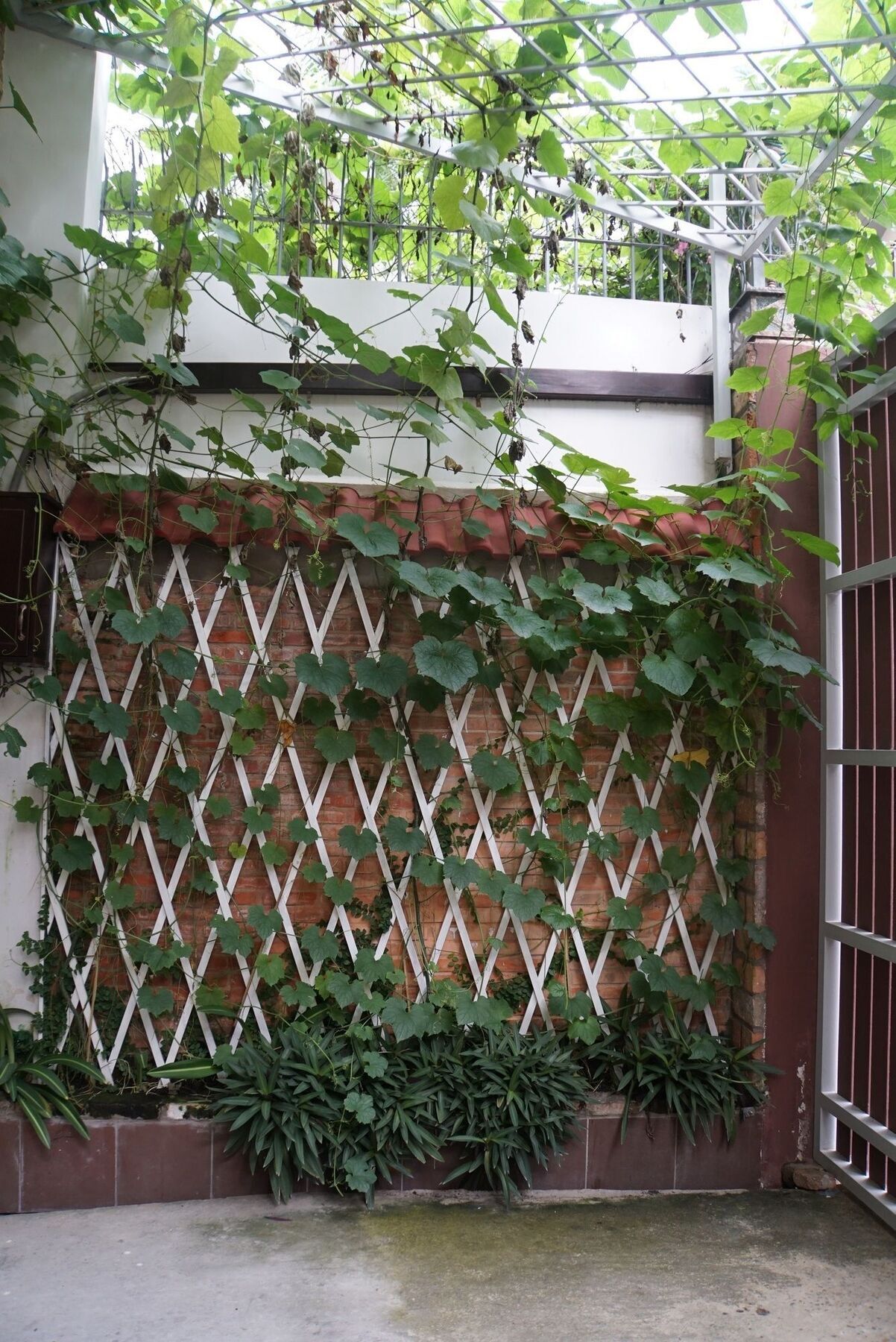 Ananas Family Hotel Ho Chi Minh City Exterior photo
